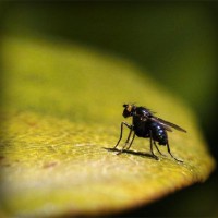 /album/life-of-marion/photolia-a07-jpg/